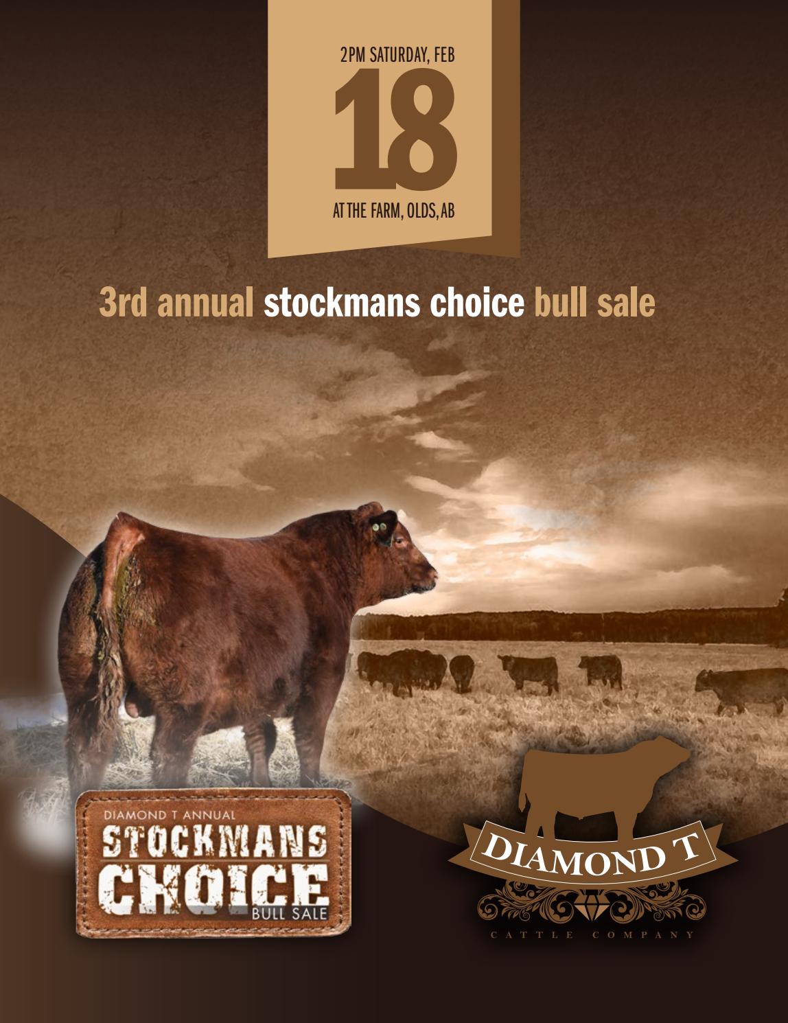 Diamond T Cattle & Wildman Livestock 2017 Stockman's Choice Bull Sale