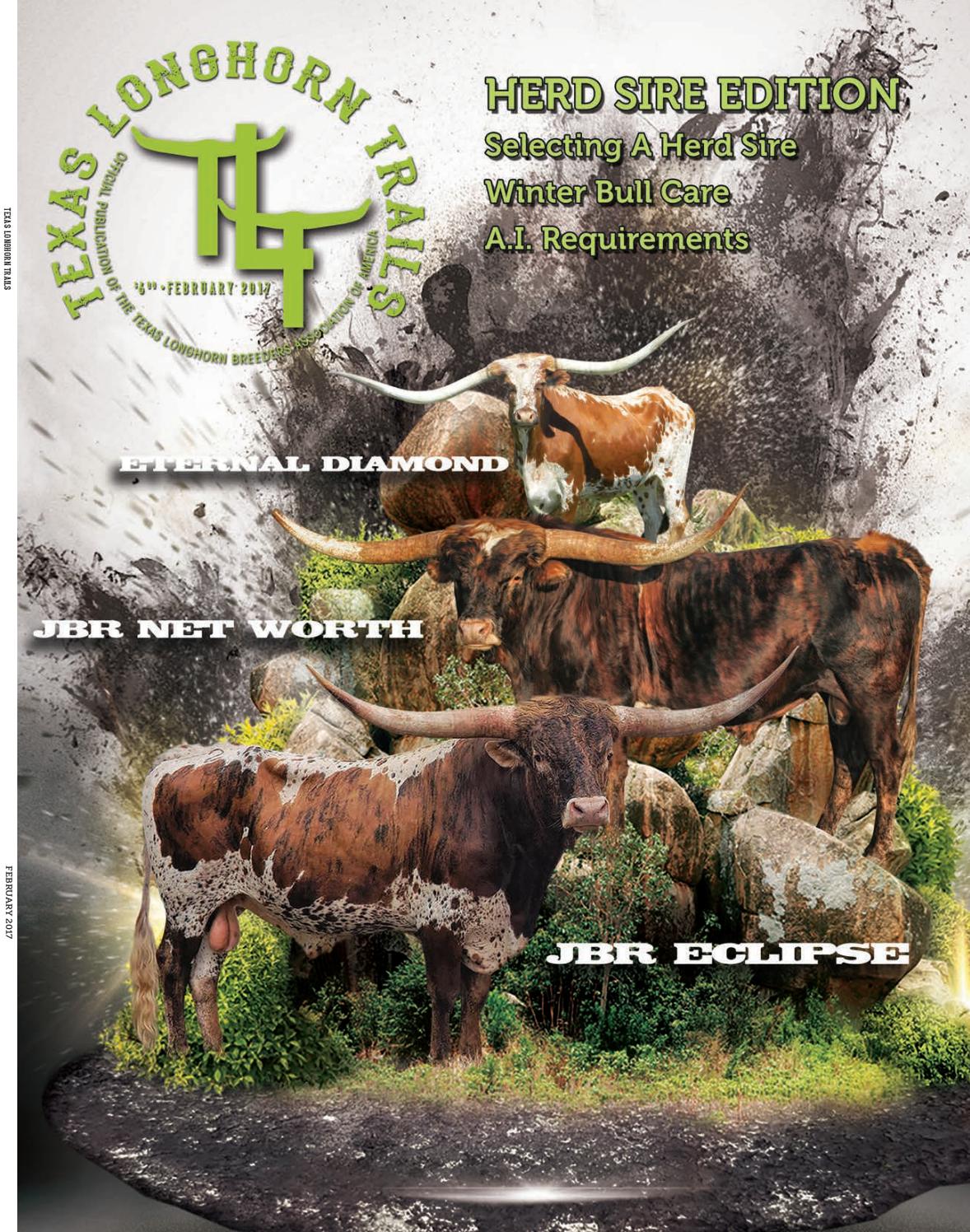 August 2016 texas longhorn trails magazine by texas longhorn ...