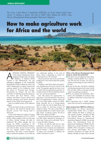 How to make agriculture work for Africa and the world